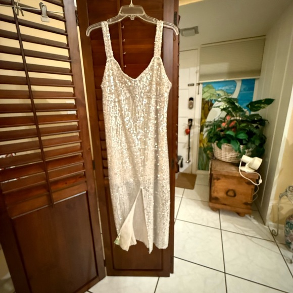 Zara Dresses & Skirts - 2026 PRICE DROP!! Zara Silver Sequin Maxi Dress